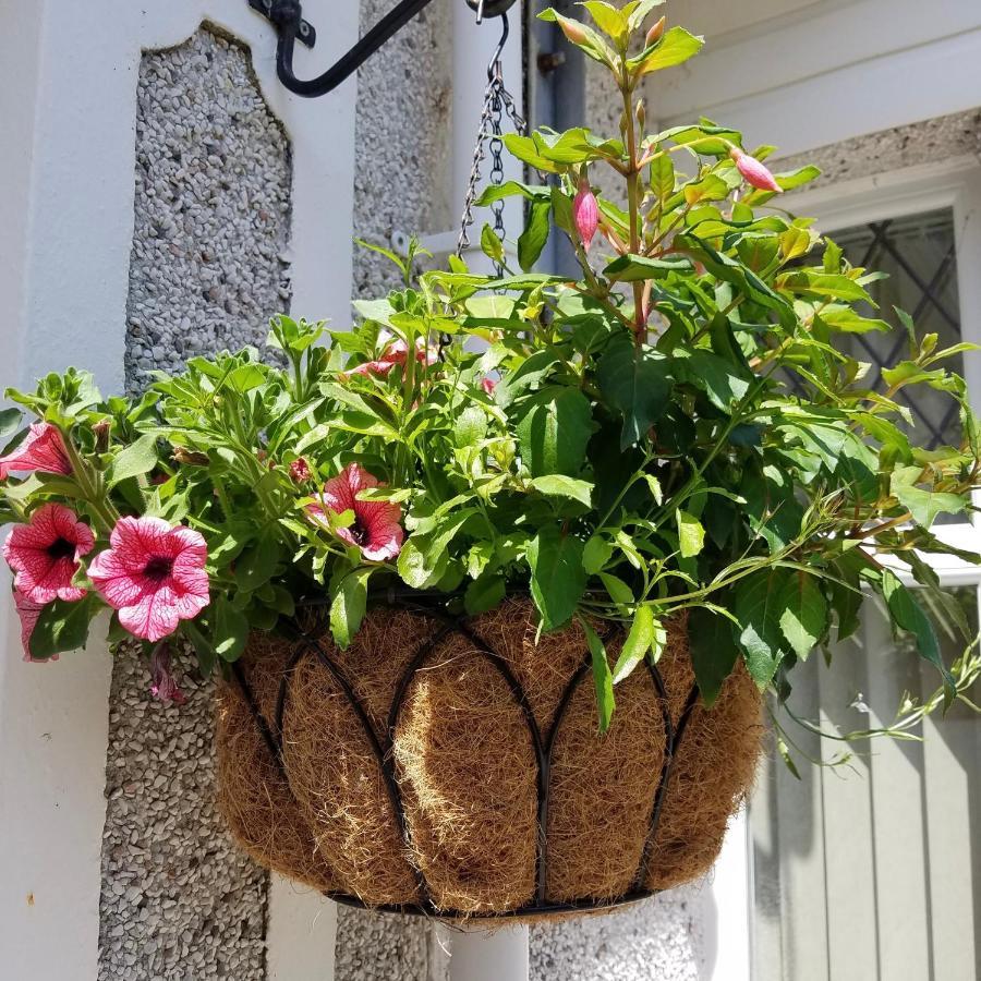 Eden'S Rest Bed And Breakfast Bugle Экстерьер фото